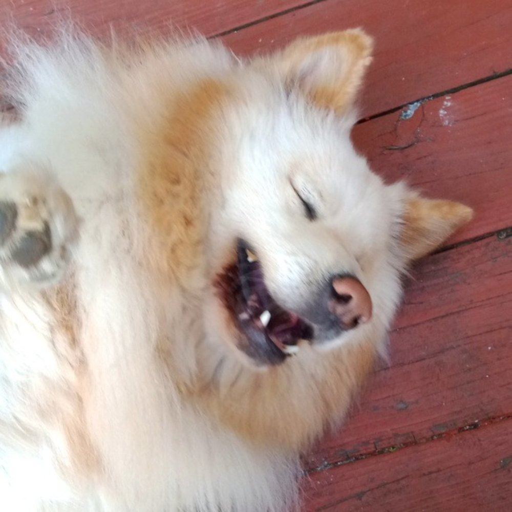 Meet your Posher, Alejandra